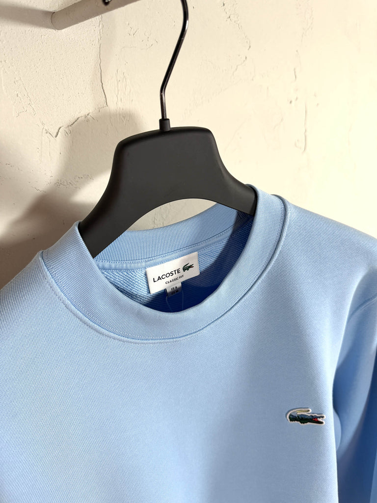 Felpa coccodrillo paesaggio celeste