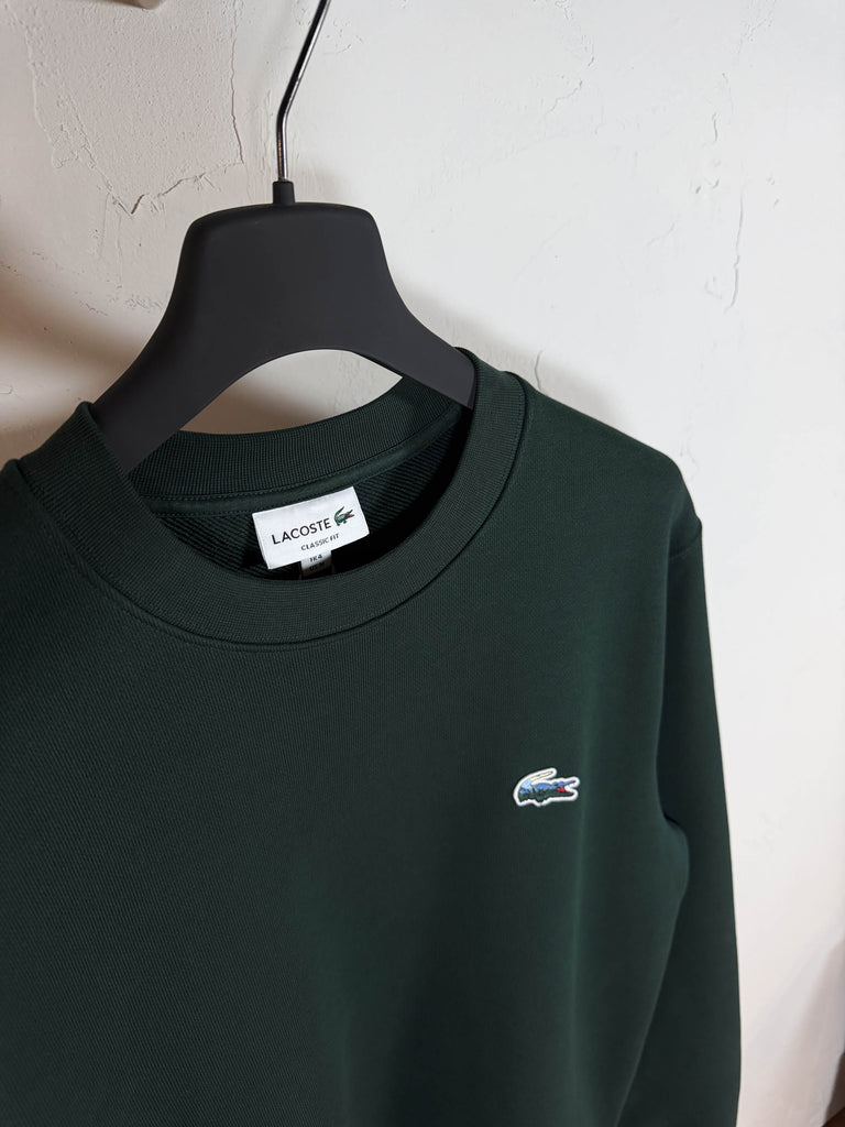 Felpa coccodrillo paesaggio verde bottiglia