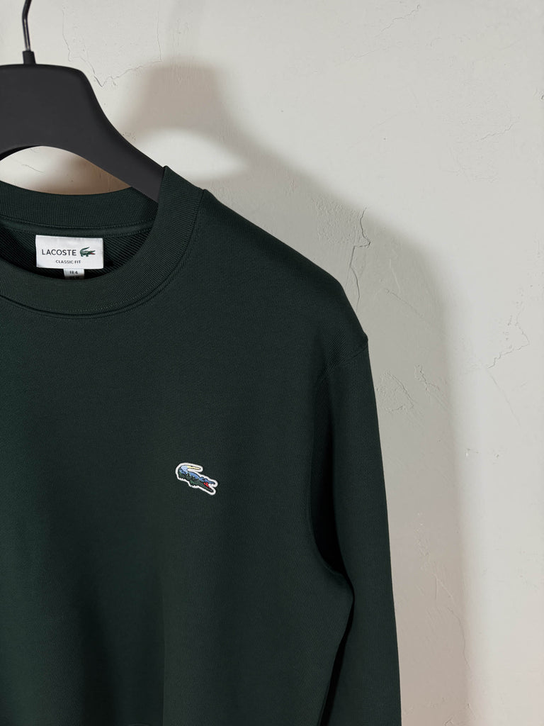 Felpa coccodrillo paesaggio verde bottiglia