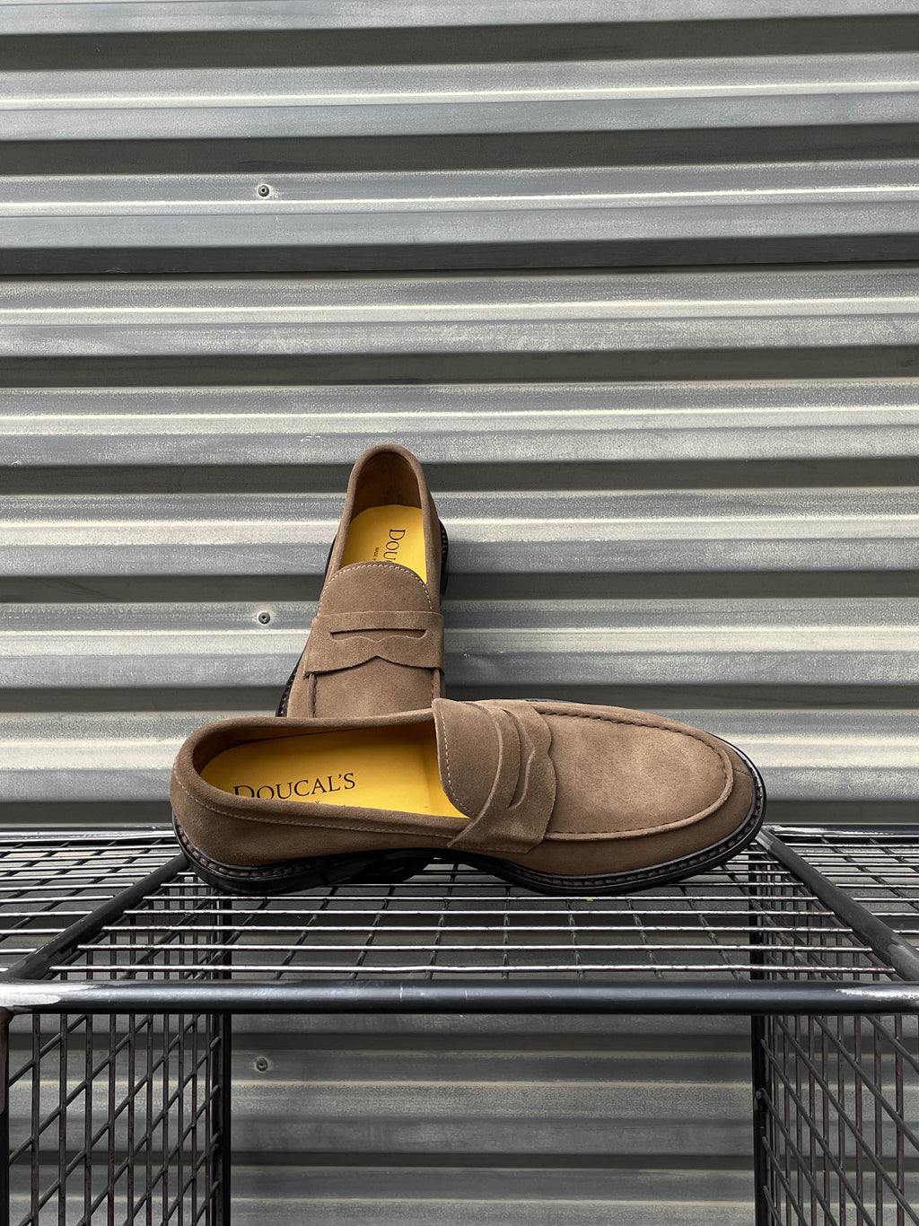 Doucal's mocassino penny in suede DU2405 cacao